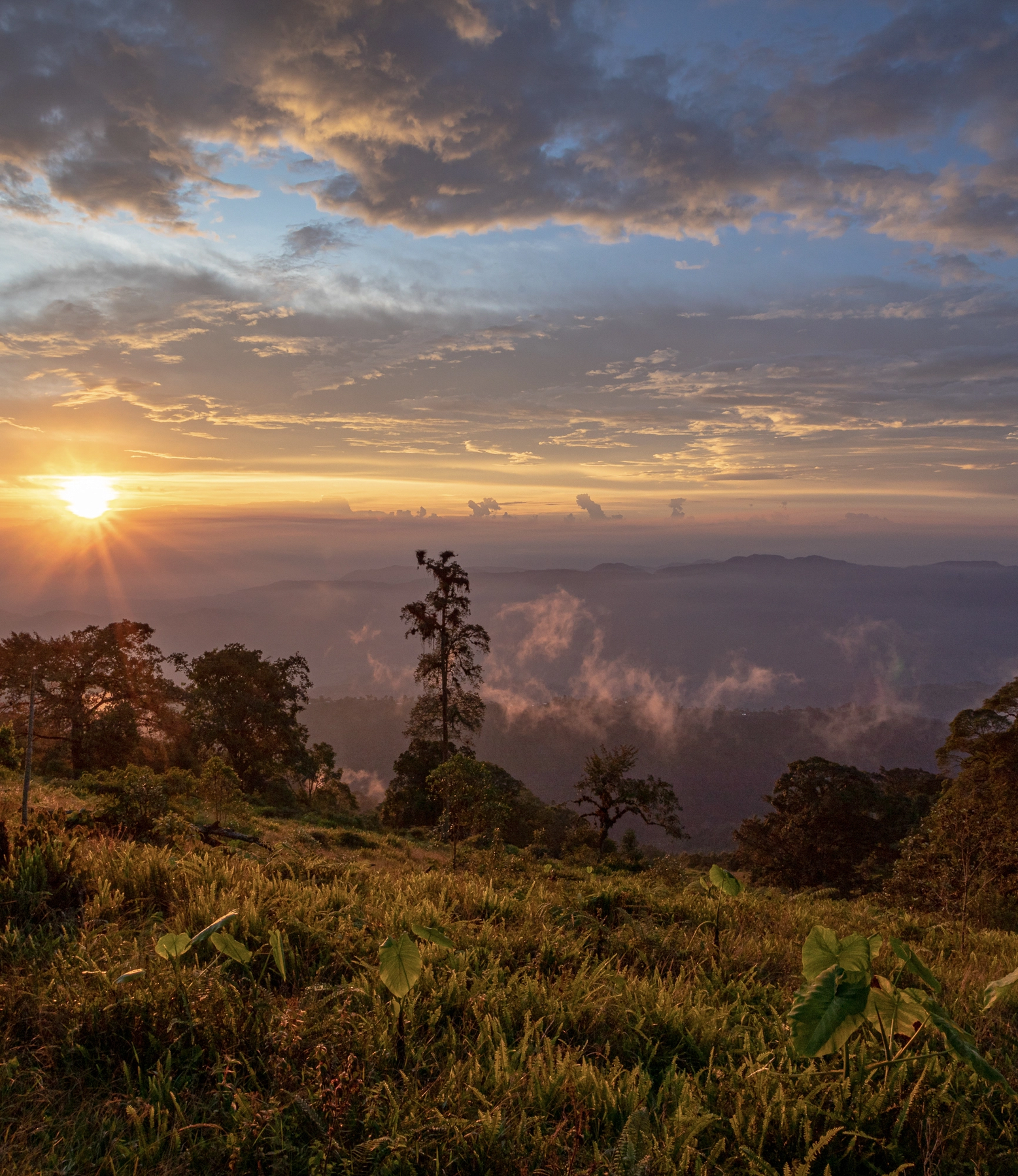 ChatGPT Image 27 ago 2025, 14_44_23